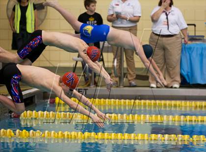 Thumbnail 2 in Williamson County Swimming Championships photogallery.