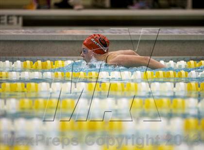 Thumbnail 2 in Williamson County Swimming Championships photogallery.
