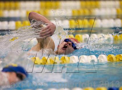 Thumbnail 2 in Williamson County Swimming Championships photogallery.