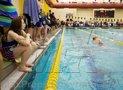 Thumbnail 3 in Williamson County Swimming Championships photogallery.