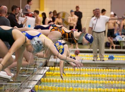Thumbnail 1 in Williamson County Swimming Championships photogallery.
