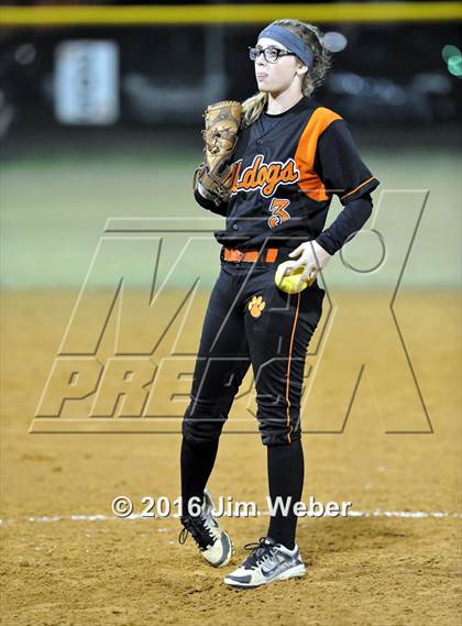 Thumbnail 3 in Pasco @ Zephyrhills photogallery.