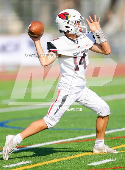 Thumbnail 2 in Bishop Diego @ West Ranch photogallery.