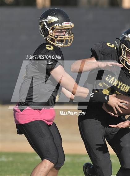 Thumbnail 3 in JV: Villa Park @ Canyon photogallery.