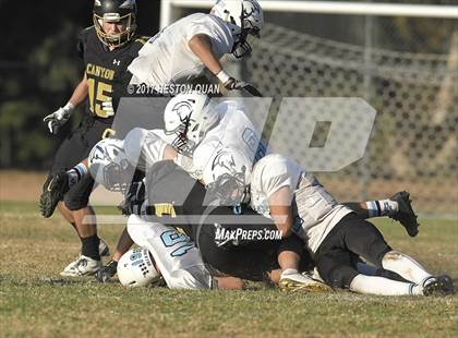 Thumbnail 3 in JV: Villa Park @ Canyon photogallery.