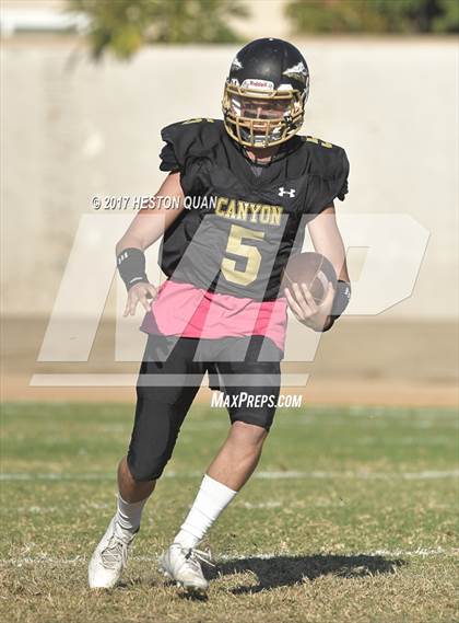 Thumbnail 3 in JV: Villa Park @ Canyon photogallery.