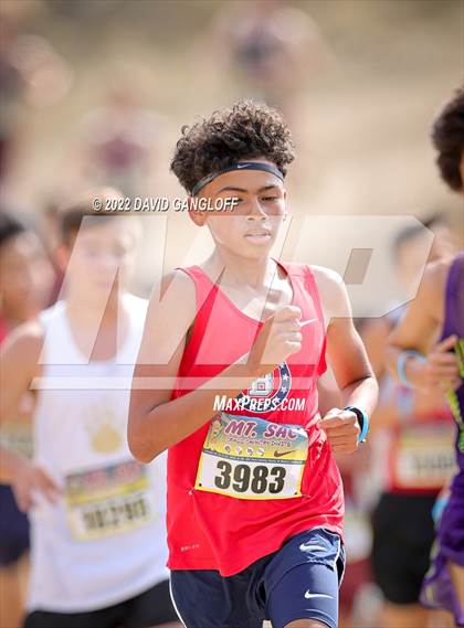 Thumbnail 2 in Mt SAC Invitational (Division 1 -  Race 78) photogallery.