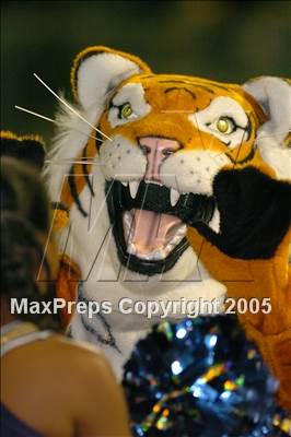 Thumbnail 2 in Lindhurst @ Inderkum photogallery.