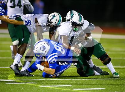 Thumbnail 2 in Tampa Catholic @ Jesuit photogallery.