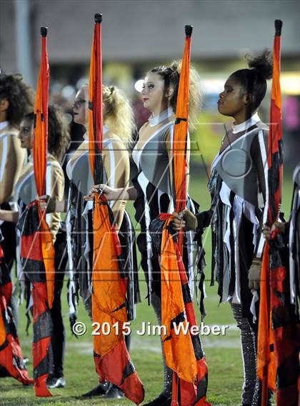 Thumbnail 3 in Wharton @ Wiregrass Ranch photogallery.