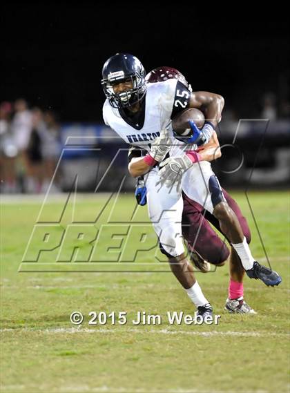 Thumbnail 2 in Wharton @ Wiregrass Ranch photogallery.