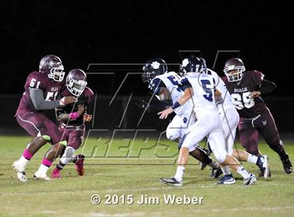 Thumbnail 3 in Wharton @ Wiregrass Ranch photogallery.