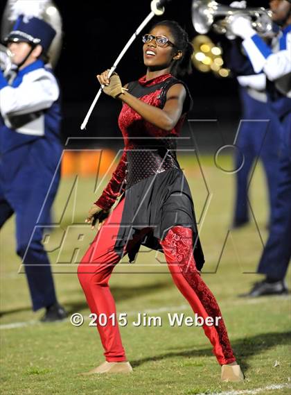 Thumbnail 3 in Wharton @ Wiregrass Ranch photogallery.