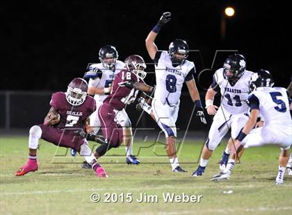 Thumbnail 2 in Wharton @ Wiregrass Ranch photogallery.