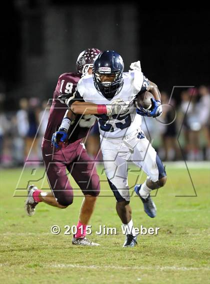 Thumbnail 3 in Wharton @ Wiregrass Ranch photogallery.