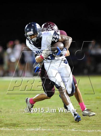 Thumbnail 1 in Wharton @ Wiregrass Ranch photogallery.