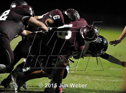 Thumbnail 1 in Wharton @ Wiregrass Ranch photogallery.