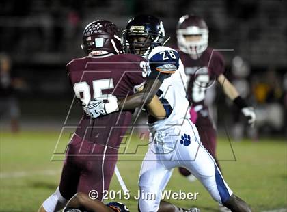 Thumbnail 3 in Wharton @ Wiregrass Ranch photogallery.