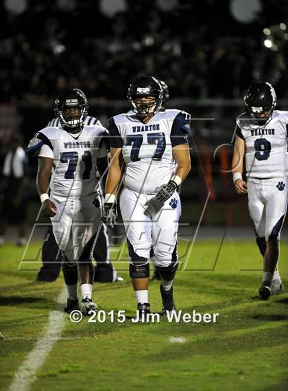 Thumbnail 1 in Wharton @ Wiregrass Ranch photogallery.