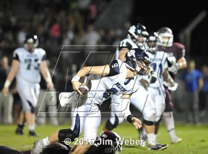 Thumbnail 1 in Wharton @ Wiregrass Ranch photogallery.