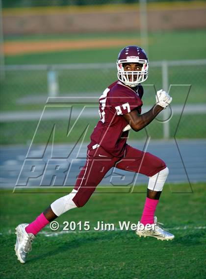 Thumbnail 3 in Wharton @ Wiregrass Ranch photogallery.