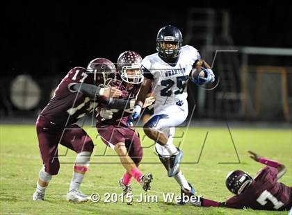 Thumbnail 3 in Wharton @ Wiregrass Ranch photogallery.