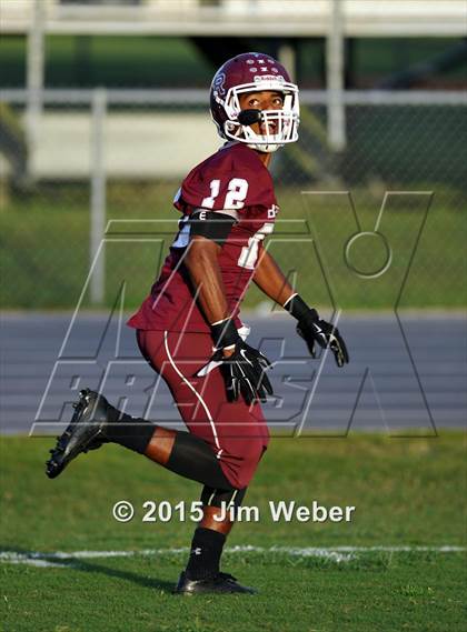 Thumbnail 1 in Wharton @ Wiregrass Ranch photogallery.