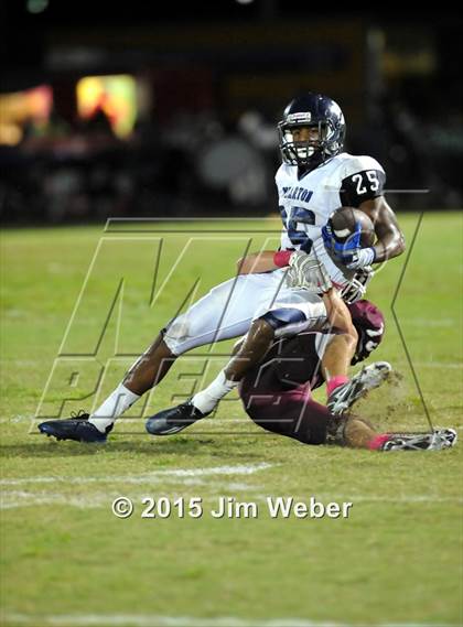 Thumbnail 1 in Wharton @ Wiregrass Ranch photogallery.