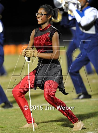 Thumbnail 2 in Wharton @ Wiregrass Ranch photogallery.