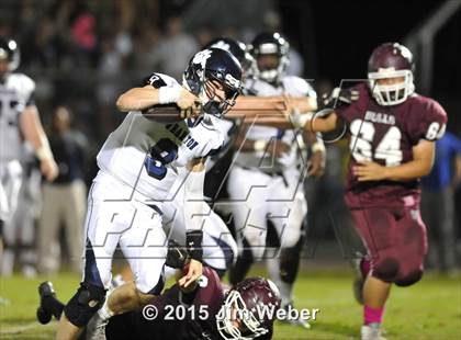 Thumbnail 3 in Wharton @ Wiregrass Ranch photogallery.