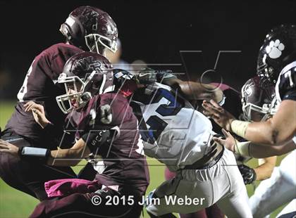 Thumbnail 2 in Wharton @ Wiregrass Ranch photogallery.