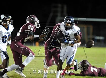 Thumbnail 1 in Wharton @ Wiregrass Ranch photogallery.