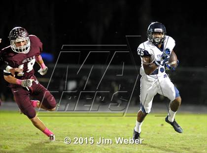 Thumbnail 1 in Wharton @ Wiregrass Ranch photogallery.