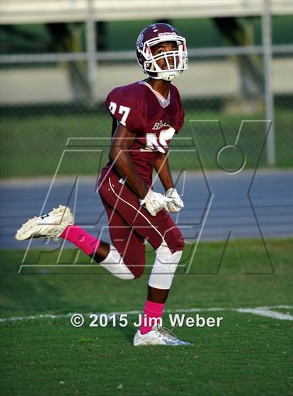 Thumbnail 1 in Wharton @ Wiregrass Ranch photogallery.