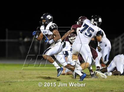 Thumbnail 2 in Wharton @ Wiregrass Ranch photogallery.