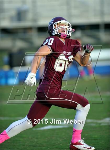 Thumbnail 2 in Wharton @ Wiregrass Ranch photogallery.