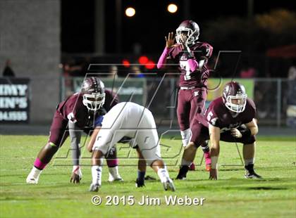 Thumbnail 2 in Wharton @ Wiregrass Ranch photogallery.