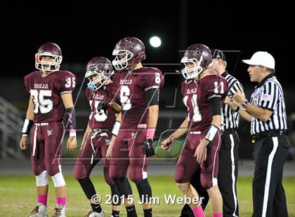 Thumbnail 2 in Wharton @ Wiregrass Ranch photogallery.