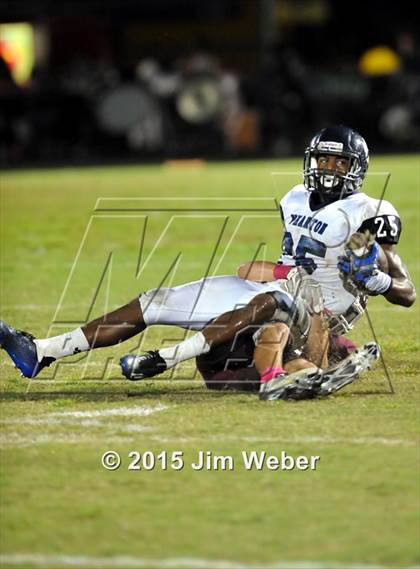 Thumbnail 2 in Wharton @ Wiregrass Ranch photogallery.