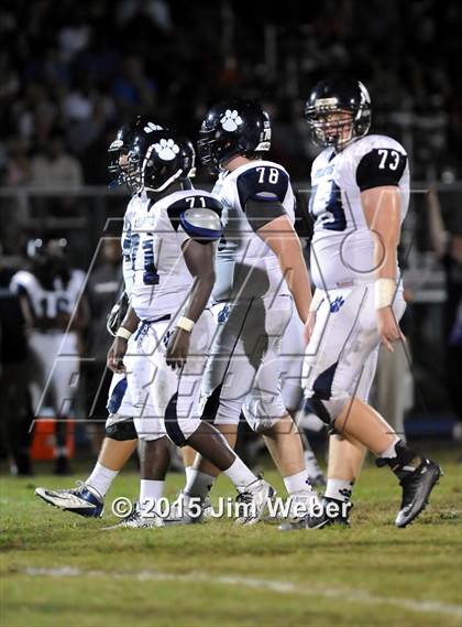 Thumbnail 3 in Wharton @ Wiregrass Ranch photogallery.