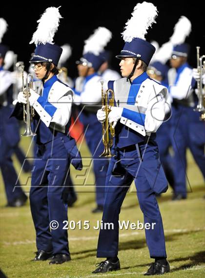 Thumbnail 3 in Wharton @ Wiregrass Ranch photogallery.