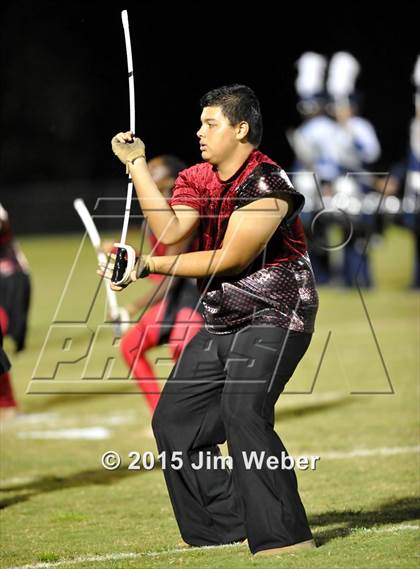Thumbnail 1 in Wharton @ Wiregrass Ranch photogallery.
