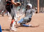 Photo from the gallery "Reed @ Douglas"
