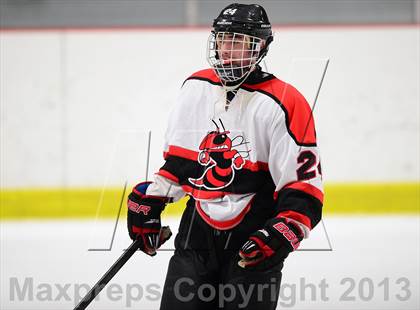 Thumbnail 2 in Warde/Ludlowe @ Branford photogallery.