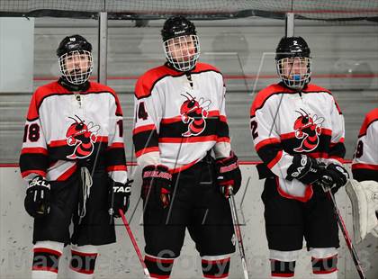 Thumbnail 1 in Warde/Ludlowe @ Branford photogallery.