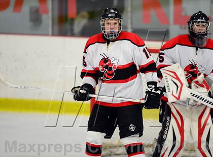 Thumbnail 2 in Warde/Ludlowe @ Branford photogallery.
