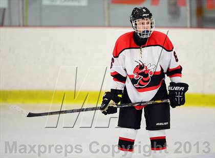 Thumbnail 1 in Warde/Ludlowe @ Branford photogallery.