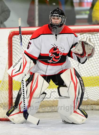 Thumbnail 2 in Warde/Ludlowe @ Branford photogallery.