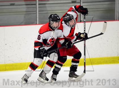 Thumbnail 3 in Warde/Ludlowe @ Branford photogallery.