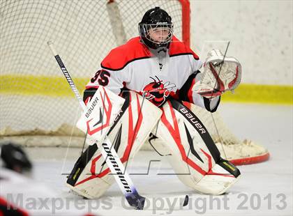Thumbnail 1 in Warde/Ludlowe @ Branford photogallery.